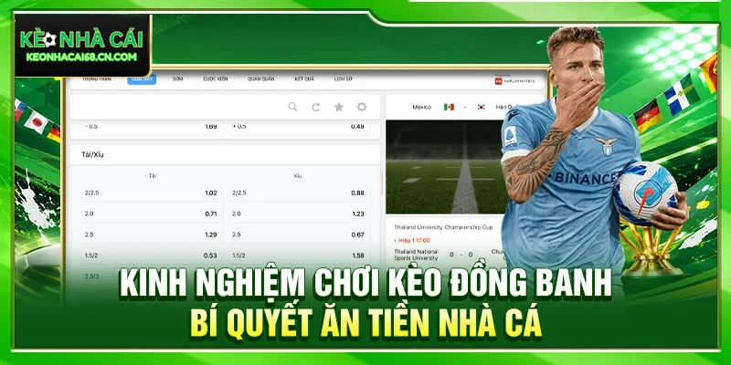 Kinh Nghiệm Chơi Kèo Đồng Banh – Bí Quyết Ăn Tiền Nhà Cái 10 Kinh Nghiệm Chơi Kèo Đồng Banh – Bí Quyết Ăn Tiền Nhà Cái