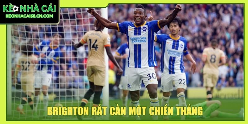 Nhận Định Man City Vs Brighton - Màn So Tốc Độ Tại Etihad 3 Brighton rất cần một chiến thắng