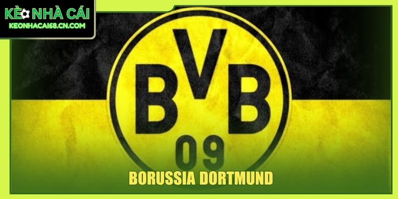 Borussia Dortmund: Biểu Tượng Tham Vòng Bóng Đá Vùng Ruhr 2 Borussia Dortmund